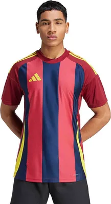 Zdjęcie produktu dla Koszulka Adidas Striped 24 Jsy IW2149