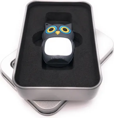 Obrázek produktu pro Onwomania sovička v šedé barvě USB flash disk v dárkové hliníkové krabičce 32 GB USB 2.0