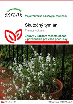 Obrázok produktu pre SAFLAX - Skutočný tymián - Thymus vulgaris - 200 Semená