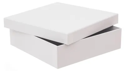 Produktbild von Pappschachtel 23,5 x 23,5 x 6,5 cm, Weiß, Kraftpapier kaschierte Pappe, stabil