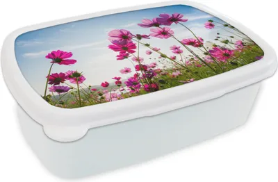 Produktbild von KitchenYeah® Lunchbox Brotzeit Brotdose 17x11 cm Blumen - Rosa - Cosmea Kinder Brotzeitdose - Lunch Box - Kinder - Sandwich-Box - Schulbox - Lunch Boxen