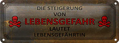 Produktbild von Blechschild Spruch 27x10cm von Lebensgefahr Lebensgefährtin Dekoration