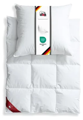Produktbild von Daunenbettdecke Johanna 135x200 cm & Kopfkissen 80x80 cm im 2er Set – Daunendecke & Kopfkissen aus Federn und Daunen, allergikerfreundlich,  Germany, Wärmeklasse: leicht