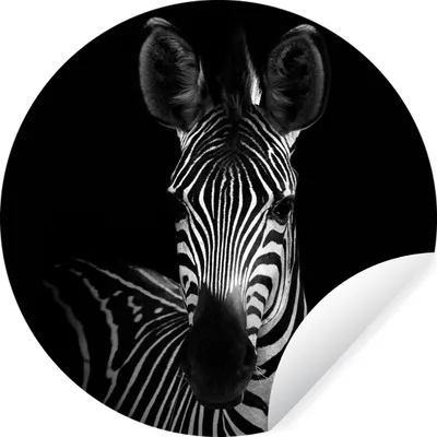 Produktbild von MuchoWow® Runde Wandtattoo - Wandsticker Tapete Aufkleber Zebra - Schwarz - Weiß - Tiere Ø 50 cm Selbstklebend und Repositionierbar - Wandaufkleber - Kreis - Wand Kreis - Wand Bild - Foto Tapete - Selbstklebende - Wohnzimmerdekoration - Wand Dekoration - Kinderzimmer