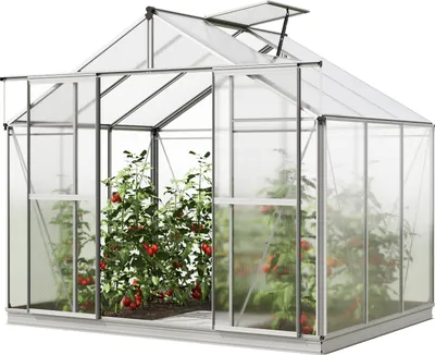 Image de GFP Serre de jardin Orchidee 3 structure en aluminium 256 x 192 cm panneaux en polycarbonate - avec cadre de fondation et ouvre-fenêtre automatique