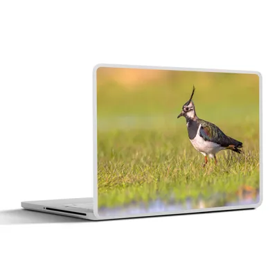 Produktbild von MuchoWow® Laptop Aufkleber Sticker Cover Vogel - Gras - Natur - Tiere - Kiebitz 36.5x27.5 cm - Laptop-Sticker