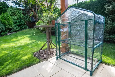 A small greenhouse in a garden setting.