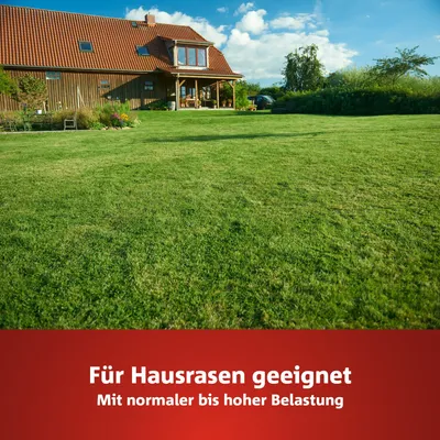 Produktbild von Wolf-Garten Sport- und Spielrasen Samen LG 500, 372021