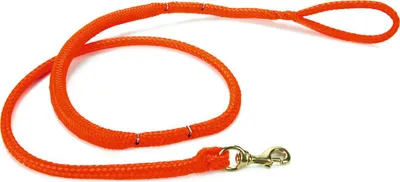 Produktbild von Beeztees Actif Canicross Zugleine - Hundeleine - 170-190 cm