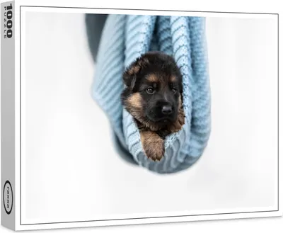 Produktbild von raxxa Premium-Puzzle "Schäferhundwelpe", 1000 Teile