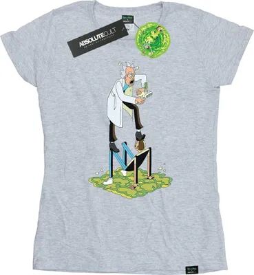Produktbild von Rick And Morty - T-Shirt für Damen BI37989 (XXL) (Grau)