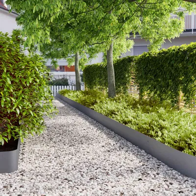 A garden path made of white gravel, bordered by a metal edging and lush green plants and trees.