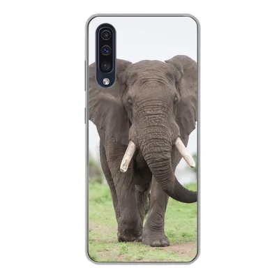 Produktbild von MuchoWow® Handyhülle Schutzhülle Hülle für Samsung Galaxy A50 Elefant - Tiere - Gras - Natur Silikon Softcase Handy Hülle - Mobiltelefonhülle