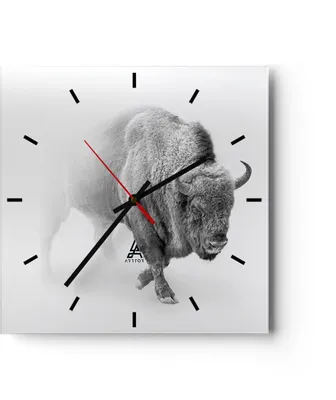 Produktbild von Wanduhr - Quadrat - Glasuhr - Wisent Schwarzweiß Licht - 30x30cm - Schleichendes Uhrwerk - Lautlos - zum Aufhängen bereit - Dekoration Modern - Wanddekoration aus Glas - C3AC30x30-4418