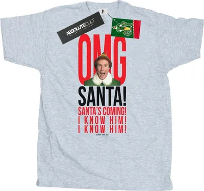 Produktbild von Elf - "OMG I Know Him" T-Shirt für Herren BI23959 (XXL) (Grau)