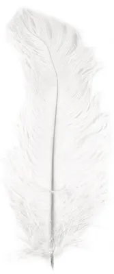 Straußenfeder 30 cm, weiß, 1 Stück
