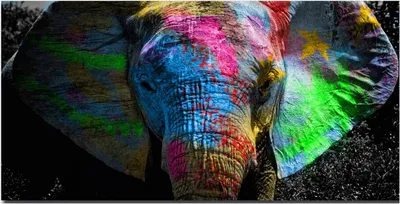 Produktbild von TPFLiving Kunstdruck LW-907 (OHNE RAHMEN) Poster - Leinwand - Wandbild - Hochauflösender Giclée-Druck, langlebig und hochwertig - Grafitti Art - Bunter Elefant - Größe: 90x180cm