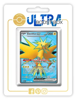 Pokémon-Kartenbox – 10 franz. Karten, Électhor ex 192/165