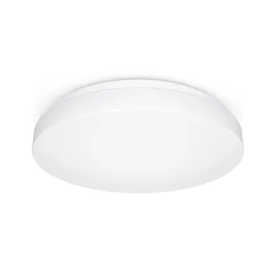 Obrázek produktu pro LED světlo BWM, IP54, ww - Stropní/nástěnné svítidlo RS PRO P1 #069681
