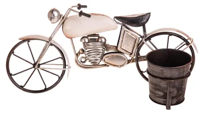 Immagine prodotto di Moto con Contenitore Pianta 48 cm