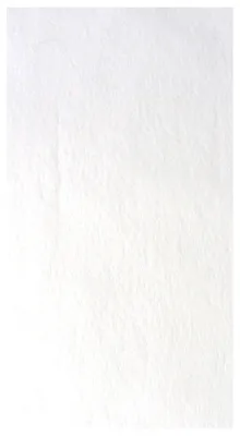 Produktbild von Weiße Vlies-Tischdecke 150 x 300 cm - Einheitsgröße, KI-generiertes Bild