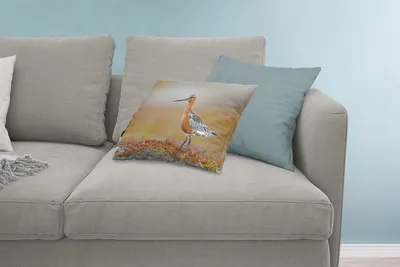 Produktbild von MuchoWow® Zierkissen Sofakissen Wohnzimmer Dekokissen 60x40 cm Uferschnepfe auf einem blühenden Boden - Kopfkissen - Polster mit Foto