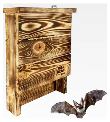 Produktbild von Leviatan CHIROPTERA Fledermauskästen aus massivem Holz - montiert, wetterfest, unbehandelt, Fledermaus-Haus für Sommer- und Winterquartiere