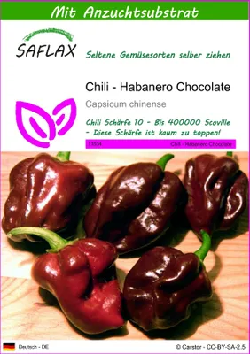 Produktbild von SAFLAX - Chili - Habanero Chocolate - Capsicum chinense - 10 Samen - Mit keimfreiem Anzuchtsubstrat