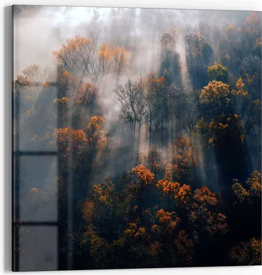 Produktbild von DEQORI Glasbild Echtglas 30x30 cm 'Herbstlicher Nebelzauber' Wandbild Bild modern Deko