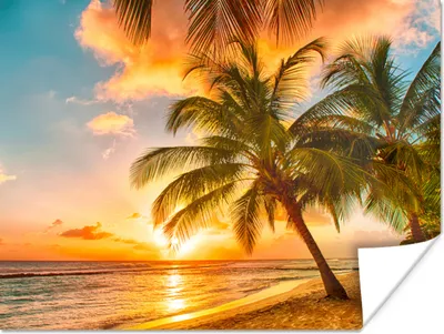 Produktbild von MuchoWow® Poster Sonnenuntergang - Palme - Wolken - Meer - Strand 80x60 cm - Kunst für zu Hause