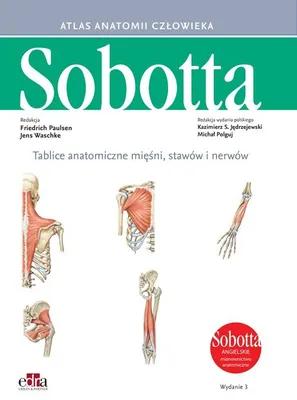 Obrázek produktu pro Tablice anatomiczne mięśni, stawów i nerwów. Angielskie mianownictwo