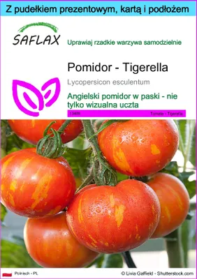 Zdjęcie produktu dla SAFLAX - Zestaw prezentowy - Pomidor - Tigerella - 10 Nasiona - Z pudełkiem upominkowym, etykietą wysyłkową, kartą podarunkową i podłożem uprawowym - Lycopersicon esculentum