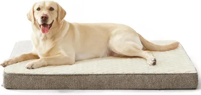 Produktbild von Hundebett JOEJOY Orthopädisches Hundebett für große Hunde, Größe XL, waschbar und weich, Hundematratze für große Hunde, rutschfeste Unterseite, 104 x