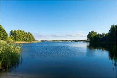 Produktbild von Wallario Poster - Malerischer See mit Schilf unter blauem Himmel, Kunstdruck Größe: 61 x 91,50 cm
