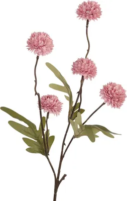 Produktbild von Künstliche Blume Pompom 52cm authum altrosa