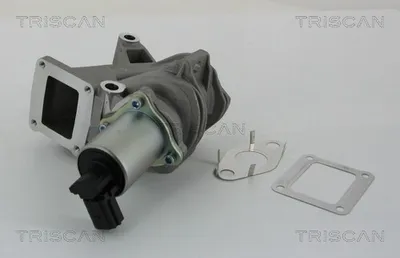 Produktbild von TRISCAN 8813 25100 AGR-Ventil mit Dichtungen für RENAULT SCÉNIC II (JM0/1) Abgasrückführungsventil