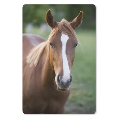 Produktbild von MuchoWow® Mauspad Mousepad Pferd - Natur - Porträt 40x60 cm - Mousepads - Maus Mat - Pad - Mausunterlage - Schreibtisch Accesoire