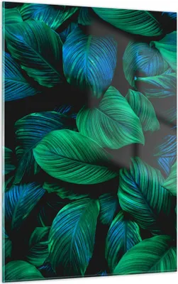 Produktbild von Bilder auf glas - Einteilig - Blätter Pflanzen Exotik - 50x70cm - Glasbilder - Wandbilder - Bilder - zum Aufhängen bereit - Wanddekoration aus Glas - Glas Bilder - Wandbild auf Glas - GPA50x70-5066