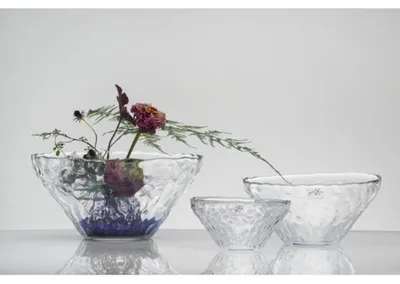 Produktbild von Dekoschale, Glasschale PEPPLE H. 10cm D. 21cm transparent rund Sandra Rich WA