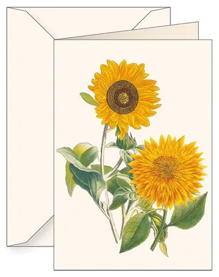 Produktbild von Karnet B6 + Umschlag 6182 Sonnenblumen – Tassotti