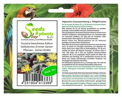 Produktbild von 15x Faucaria bosscheana Kaktus Sukkulenten Zimmer Garten Pflanzen - Samen B1481