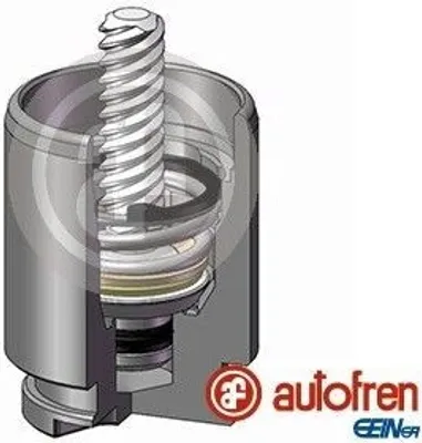 Obrázek produktu pro AUTOFREN SEINSA píst brzdového třmenu D025267K