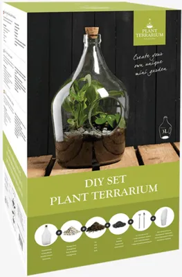 Image de Terrarium végétal à faire soi-même - 3 L