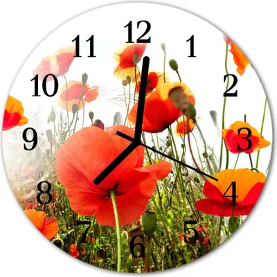 A close-up view of a round wall clock featuring a vibrant image of red poppies and green foliage. The clock face has black numbers and hands, indicating the time.