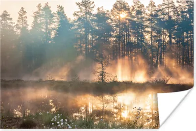 Produktbild von MuchoWow® Poster See - Sonne - Baum 30x20 cm - Plakate - Print