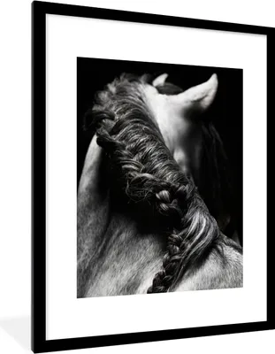 Produktbild von MuchoWow® MuchoWow® Gerahmtes Poster Pferd - Zöpfe - Schwarz und weiß 60x80 cm - Poster mit zchwarzem Bilderrahmen - Wohnzimmer - Dekorationen - Prämie
