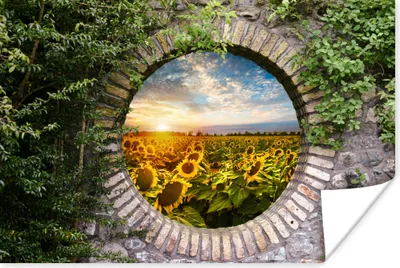 Produktbild von MuchoWow® Poster Sonnenblumen - Ansicht - Blumen - Sonne 180x120 cm - Fotoplakat