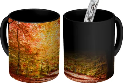 Produktbild von MuchoWow® Zauber Tasse Zaubertasse Magic Ein Orangenbuchenwald 350 ml Farbwechsel Becher Geschenk Geschenkidee - Magic-Tasse - Fototasse - Keramiktassen - Bilder - Tasse Kaffee - Getränkbecher - Kaffe