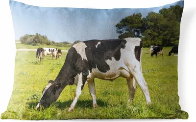Produktbild von MuchoWow® Outdoor Kissen - Kuh - Gras - Tiere - Wald - 50x30 cm - Wetterfest - Lounge Kissen - Sofa kissen - Wohnzimmer Dekoration