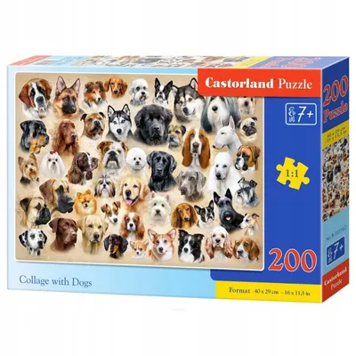 Produktbild von Castorland Collage with Dogs Puzzle 200 Teile